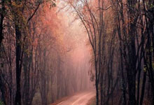 问鼎-包含足总杯集结日再迎强敌，浙江队刷新队史纪录，主帅态度——质疑声仍在，训练强度明显提升的词条